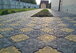 Тротуарная плитка Ромашка жёлтая