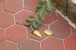 Тротуарная плитка Шестигранник 250х220х70 жёлтая